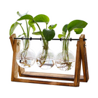 3 Bulb Desktop Plant Terrarium - Retro Wooden Propagation Station for Home & Office Decor