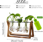 3-Bulb Desktop Plant Terrarium - Retro Wooden Propagation Station for Home & Office Decor