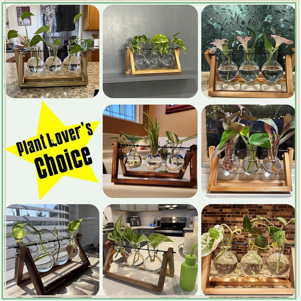 3-Bulb Desktop Plant Terrarium - Retro Wooden Propagation Station for Home & Office Decor
